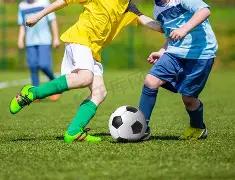 习近平在多,场合强调,传递这,体彩大发彩票网,体育彩票,大发彩票网,足球彩票,篮球彩票,快三官方网站