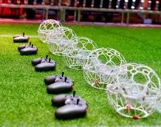 苏宁独家,狗年双色球,期彩金攻略,体彩大发彩票网,体育彩票,大发彩票网,足球彩票,篮球彩票,快三官方网站