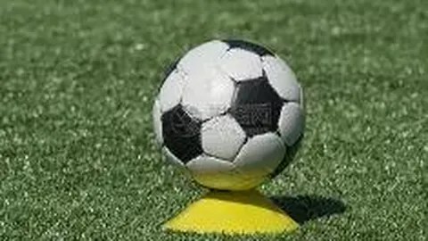 美德乐北交所IPO临近：盈利疑虑、财务风险笼罩上市之路