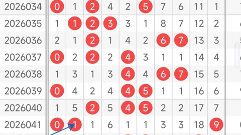 第2026020期 大乐透2026020期专家质合分析，前区