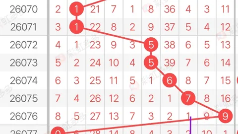 26024期大乐透专家推荐：质合分析万能七码复式预测